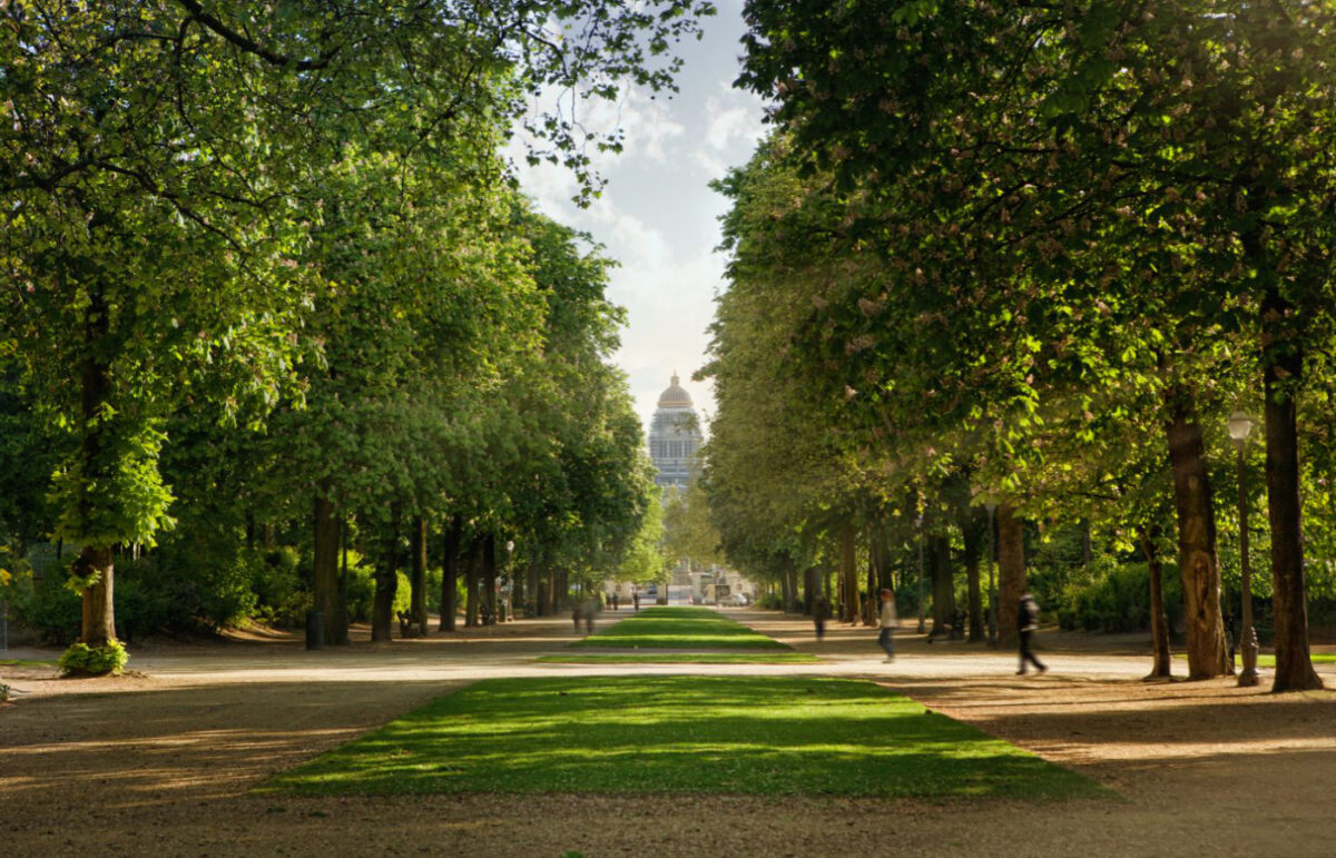 Een brede, met bomen omzoomde laan in een park in Brussel, met het Paleis van Justitie zichtbaar in de verte.